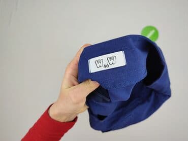 plisowane spódnice lidl: Spódnica damska, rozmiar 3XL — 4