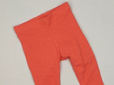 gucci dla niemowląt: Leggings, Lupilu, 3-6 months, condition - Perfect — 1