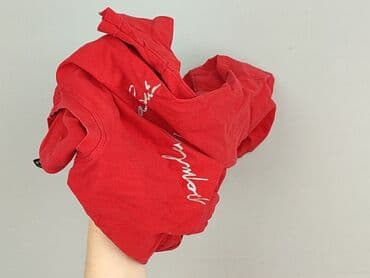 reserved koszulka w koty: T-shirt damski, rozmiar M — 5