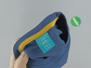 allegro sweterki azurowe: Sweatshirt, Little kids, 4-5 years, 104-110 cm, condition - Very good — 4
