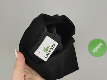 koszulka polo lidl: Lacoste, Damska koszulka polo, XL — 5