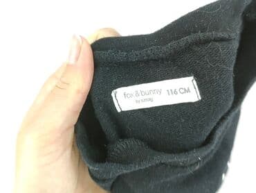 jedwabna kurtka dżokeja: Sweatshirt, Fox&Bunny, 5-6 years, 110-116 cm, condition - Very good — 4