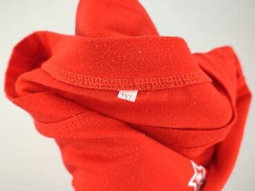 ubrania z pandą: T-shirt for men, size 2XL — 4