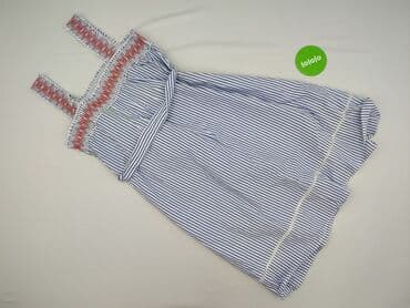 sukienka marynarka stradivarius: Primark, Sukienka damska, 3XL — 3