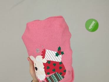 muminki koszulka: Bluza, Lupilu, 5-6 lat, 110-116 cm, stan - Bardzo dobry — 6