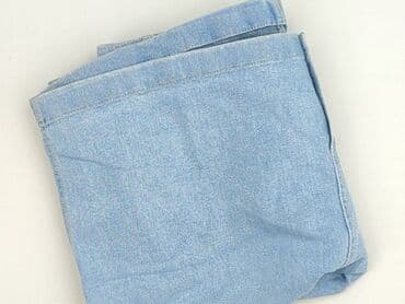 niebieska spódnice plisowane: Spódnica damska, XL — 6