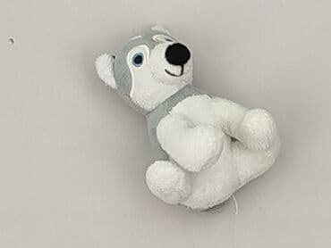 koszulka z labradorem: Mascot Dog, condition - Perfect — 1