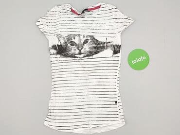 reserved koszulka w koty: T-shirt damski, rozmiar S — 3