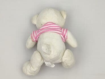 Mascots: Mascot Teddy bear, condition - Very good — 3