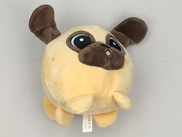 koszulka z mopsem: Mascot Dog, condition - Perfect — 1