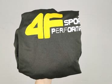 koszulki surge: 4F, Koszulka dla mężczyzn, L — 5