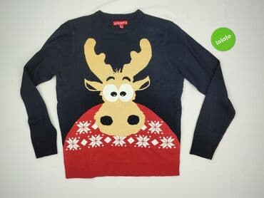 Men's Clothing: Sweter, L (EU 40), AM, condition - Very good — 2