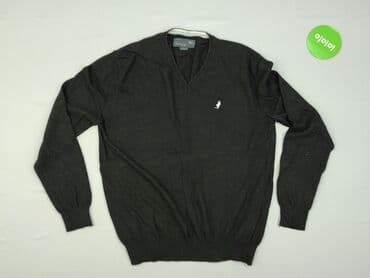 Men's Clothing: Sweter, L (EU 40), MCS, condition - Good — 2