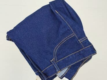 spodnie jeansy damskie klasyczne: Janina, Jeansy damskie, rozmiar XL — 6