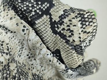 bluzki zebra: Primark, Koszula damska, rozmiar L — 6