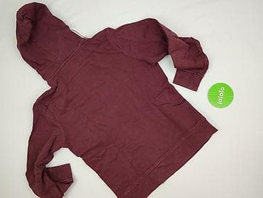subdued bluza: Produkt, Bluza z kapturem dla mężczyzn, rozmiar M — 3