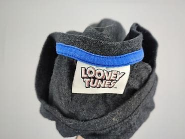 sweter patchwork: Looney Tunes, Футболка для чоловіків, розмір XL — 4