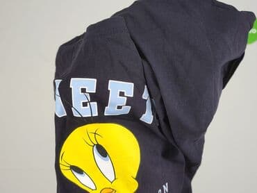 space jam koszulka: Looney Tunes, T-shirt damski, rozmiar L — 6