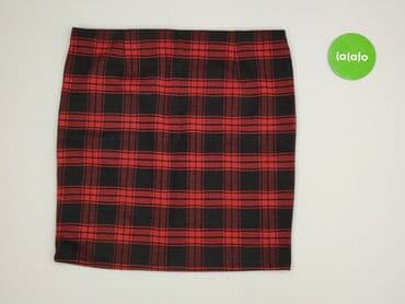 Kobiety: Janina, Spódnica damska, rozmiar 2XL — 3