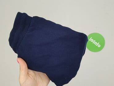 krótkie spodenki niemowlęce 74: Sweatpants, Disney, 6-9 months, condition - Very good — 6