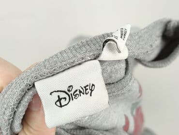 світшот: Disney, Bluza damska
, rozmiar XL — 4