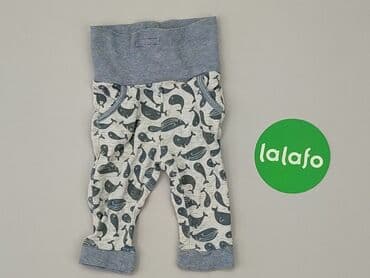 trampki vans authentic: Sweatpants, Cool Club, 1-3 months, condition - Very good — 2