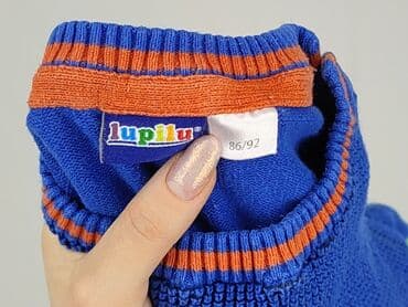 pomaranczowe spodnie dresowe: Sweater, Lupilu, 1.5-2 years, 86-92 cm, condition - Perfect — 4