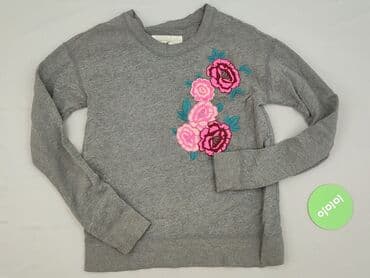 piec lat w paski bluzka w paski swiat: Hollister, Світшот жіночий, розмір XS — 2