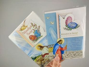 koszulka paliona allegro: Książka, gatunek - Literatura faktu, stan - Idealny — 4