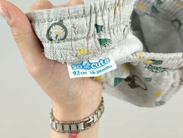 trampki vans authentic: Sweatpants, So cute, 1.5-2 years, 92, condition - Perfect — 4