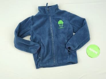koszulka wilk i zając: Sweatshirt, 5-6 years, 110-116 cm, condition - Very good — 2