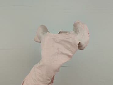 koszulki paliona allegro: Jackpot, T-shirt damski, rozmiar M — 6