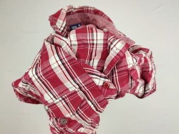 lidl swetry damskie rozpinane: Cecil, Сорочка жіноча, розмір M — 5