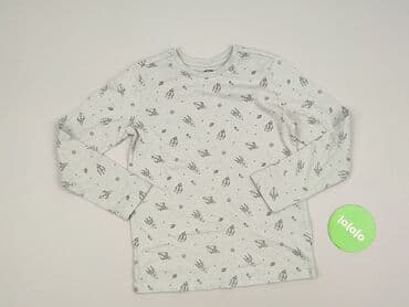 koszulka koty: Blouse, Sinsay, 9 years, 128-134 cm, condition - Perfect — 2
