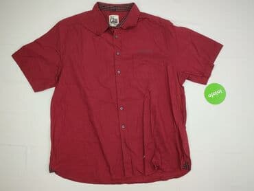 new yorker koszulka z autem: Camargue, Koszula damska, 3XL — 2