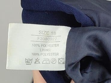 niebieska spódnice plisowane: Spódnica damska, 3XL — 5