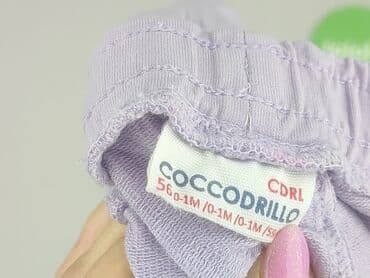 c and a bluza: Sweatpants, Coccodrillo, Newborn baby, condition - Good — 4