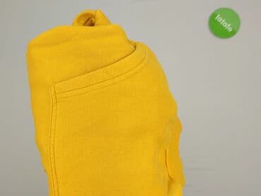 koszulka z napisem dzik: Hoodie for men, M (EU 38), House, condition - Good — 6