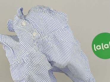 koszula dsquared2: Dress, Lupilu, 12-18 months, condition - Perfect — 5