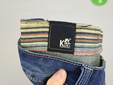 vistula sweter merino: Jeans for men, L (EU 40), condition - Good — 4