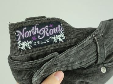 siwa spódniczka: North, Spódnica damska, rozmiar L — 4