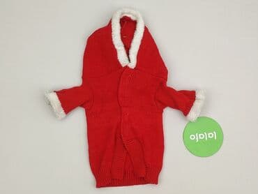 Czerwony sweter dla zwierząt, idealny na okres świąteczny. Wykonany z — 2