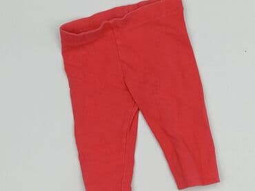 rajstopy w czerwono czarne paski: Legginsy, F&F, 1-3 m, stan - Bardzo dobry — 1