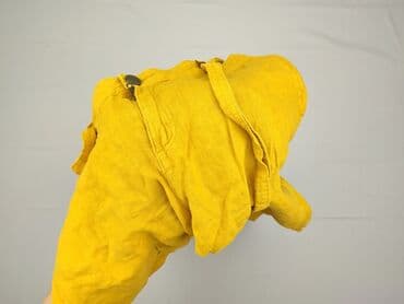 promod dżinsy: Promod, Spodnie damskie, rozmiar 2XL — 5