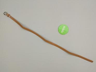 szale zara: Pasek, Damskie, stan - Idealny — 2