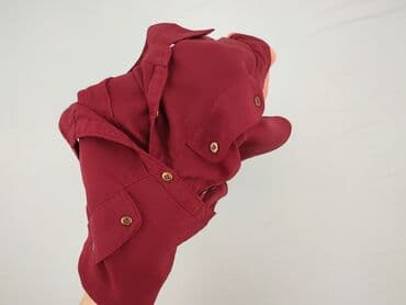 apricot bluzki: Bluzka damska, rozmiar S — 4