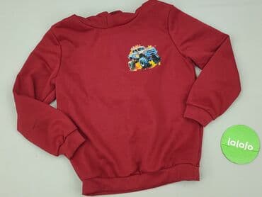 bluza reprezentacji niemiec: Sweatshirt, 8 years, 122-128 cm, condition - Perfect — 2
