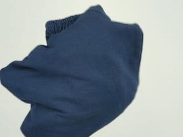 bluzy jack daniels damskie: Big Star, Bluza damska
, rozmiar M — 6