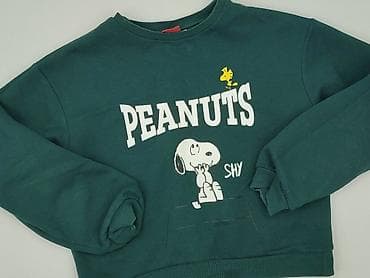 schott t shirts: Peanuts, Bluza damska
, rozmiar S — 1
