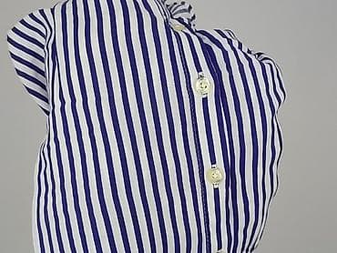 koszula willsoor: Emily van den Bergh, Bluzka damska, rozmiar 4XL — 6